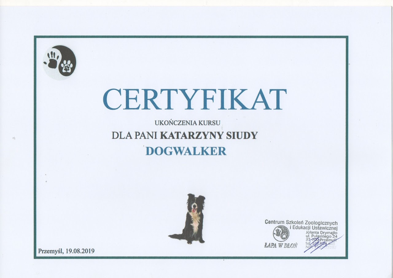 Certyfikat #13